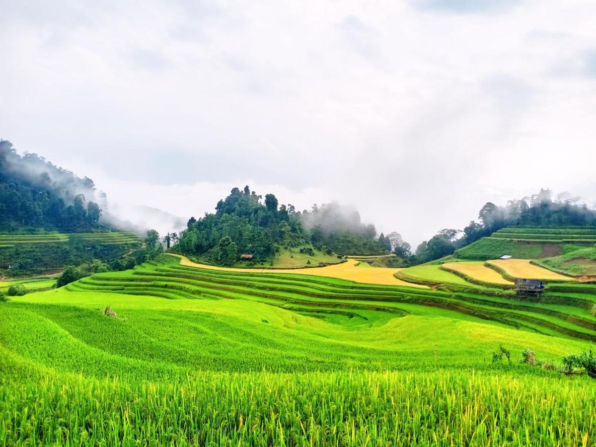 Hoang Su Phi Bungalow Екстериор снимка