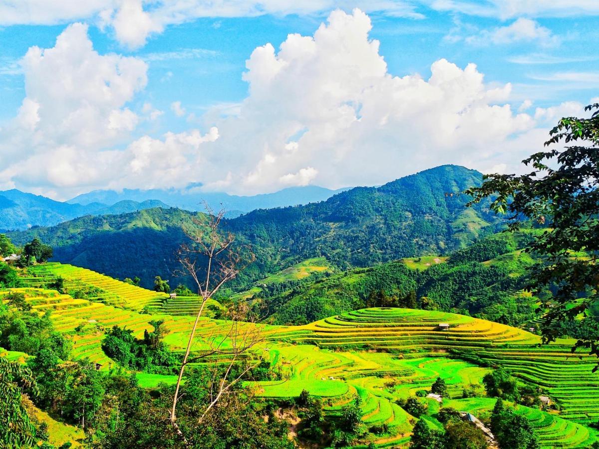 Hoang Su Phi Bungalow Екстериор снимка