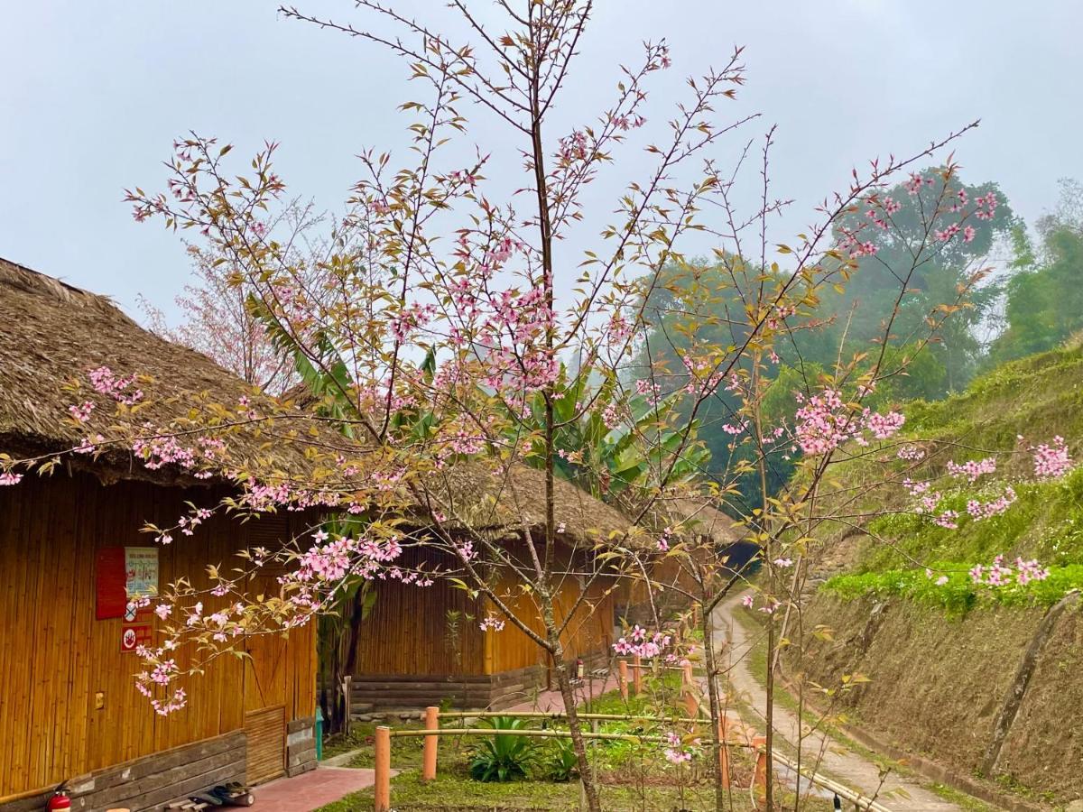 Hoang Su Phi Bungalow Екстериор снимка